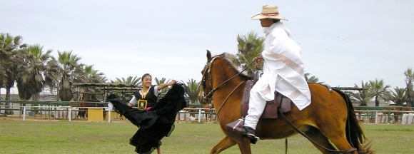 Trujillo Solo Sevicios