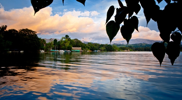 Tarapoto Solo Servicios